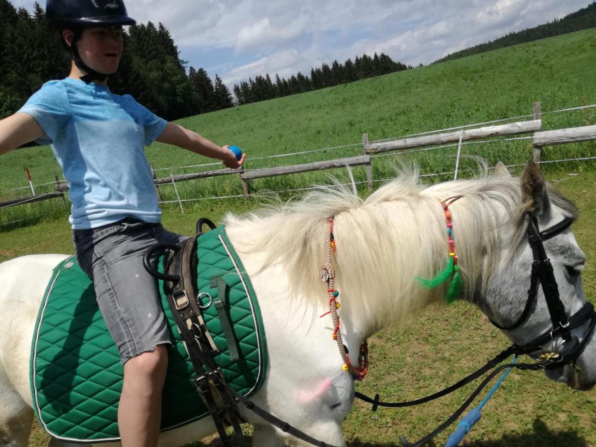 Gasthof Zum Kramer Gurk المظهر الخارجي الصورة