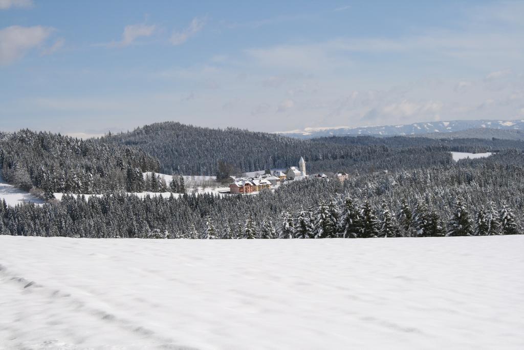 Gasthof Zum Kramer Gurk المظهر الخارجي الصورة